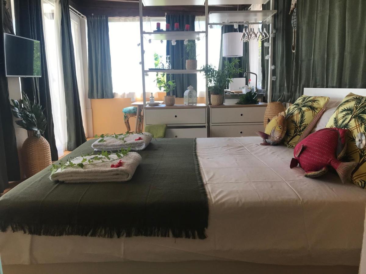 塞图巴尔 卡萨尔达斯奥烈日尔拉斯宾馆旅馆 外观 照片